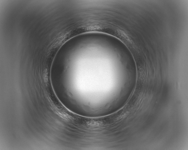 X0000061720549200512021342
