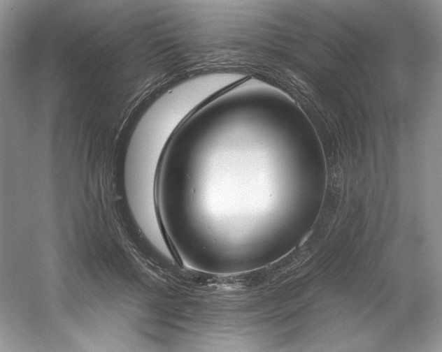 X0000061720552200512021342