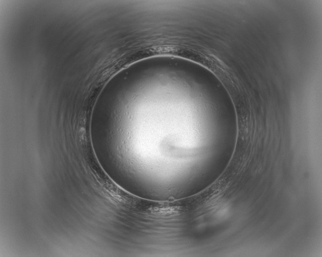 X0000061720553200512021342