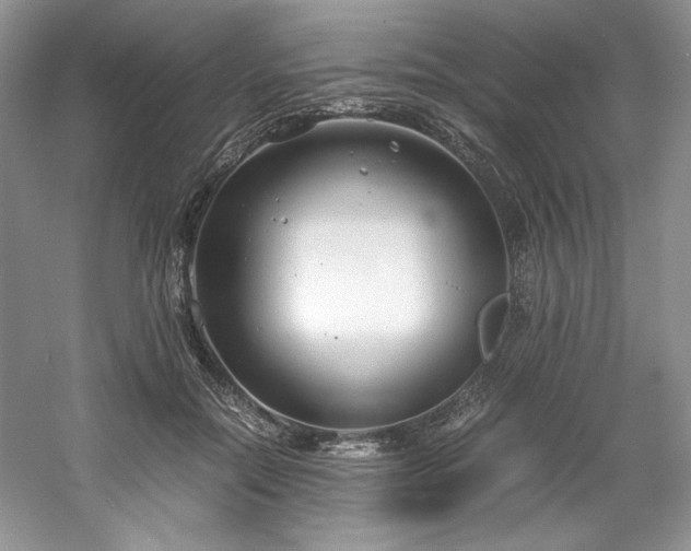 X0000061720554200512021342