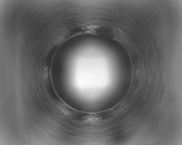 X0000061720555200512021342