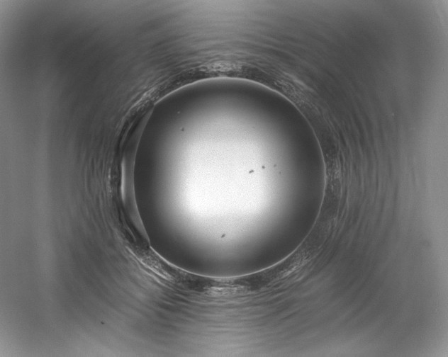 X0000061720556200512021342