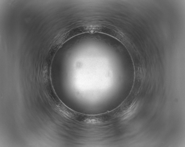 X0000061720557200512021342