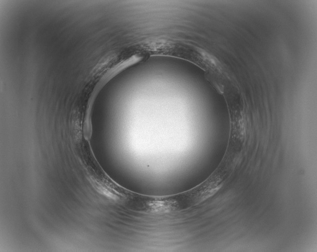 X0000061720558200512021342