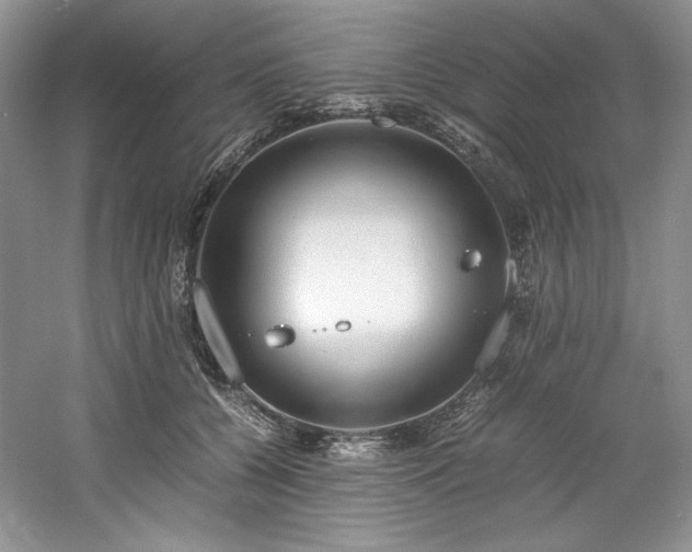 X0000061720560200512021342