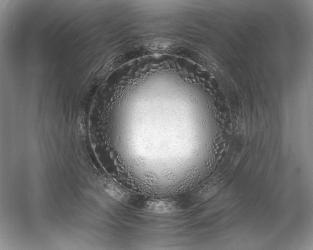 X0000061720561200512021342