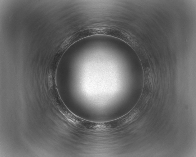 X0000061720562200512021342