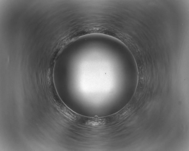 X0000061720563200512021342