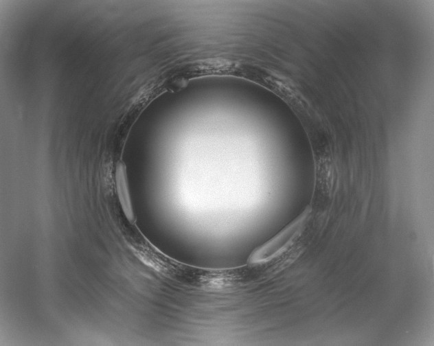 X0000061720564200512021342