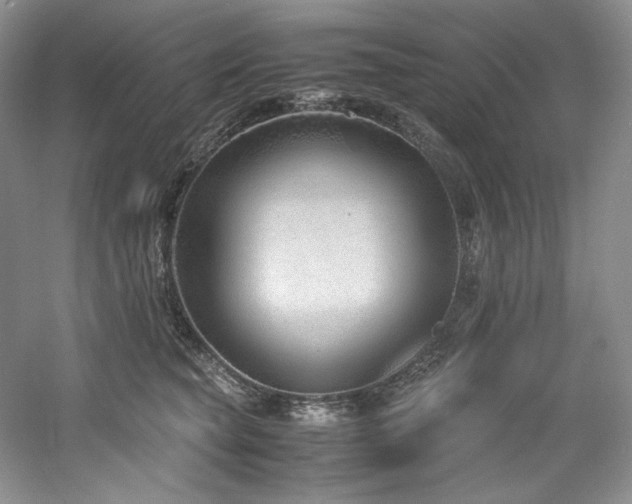 X0000061720565200512021342