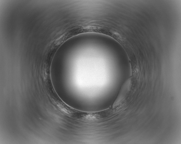 X0000061720566200512021342