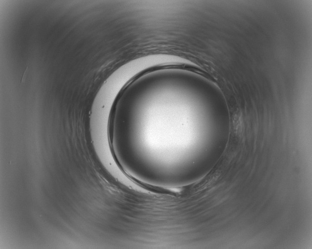 X0000061720570200512021342