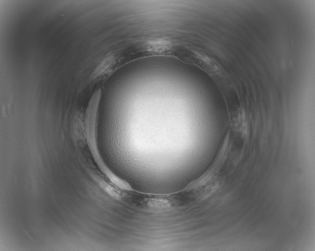 X0000061720572200512021342