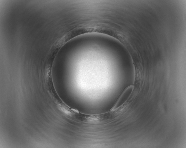 X0000061720574200512021342