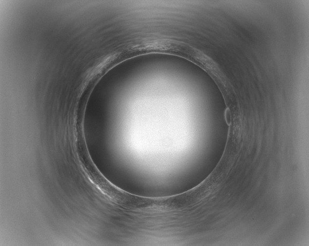 X0000061720578200512021341