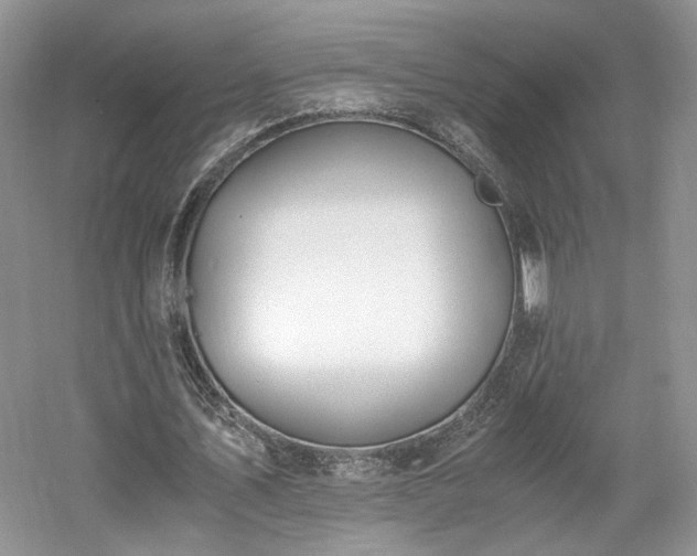 X0000061720579200512021341