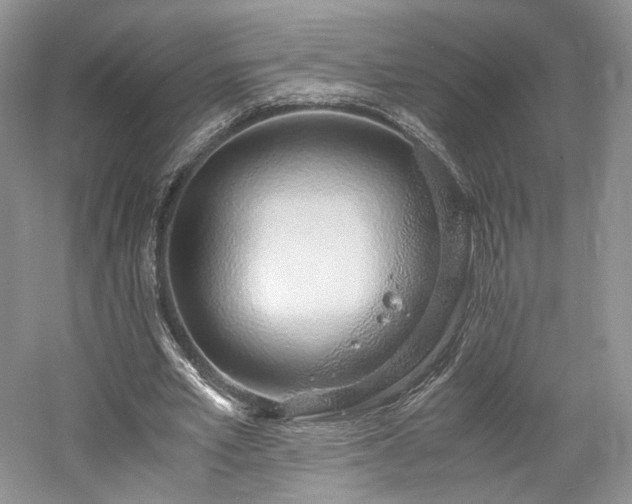 X0000061720581200512021341