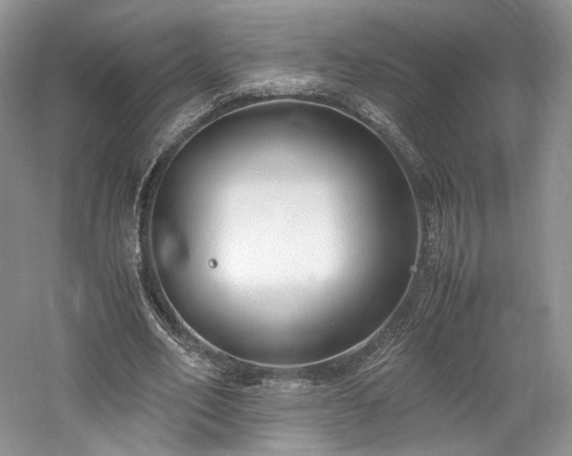 X0000061720582200512021341