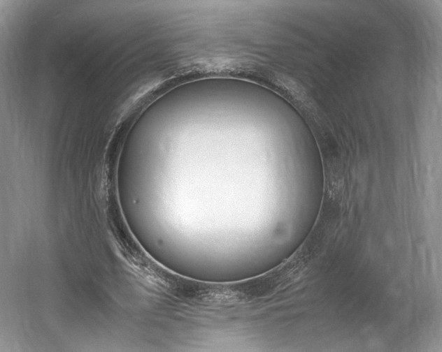 X0000061720583200512021341