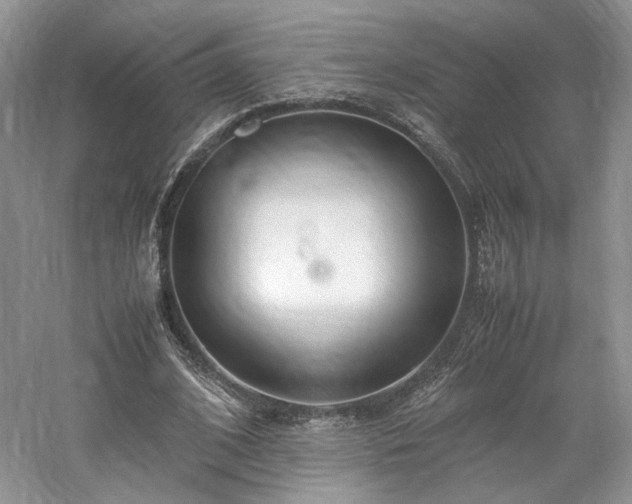 X0000061720584200512021341