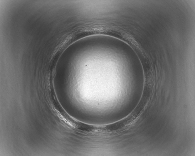 X0000061720585200512021341