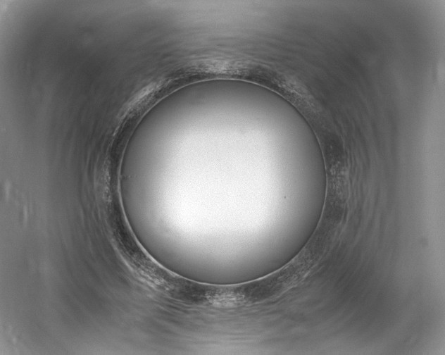X0000061720587200512021341
