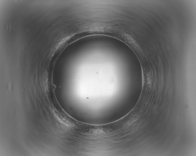 X0000061720588200512021341