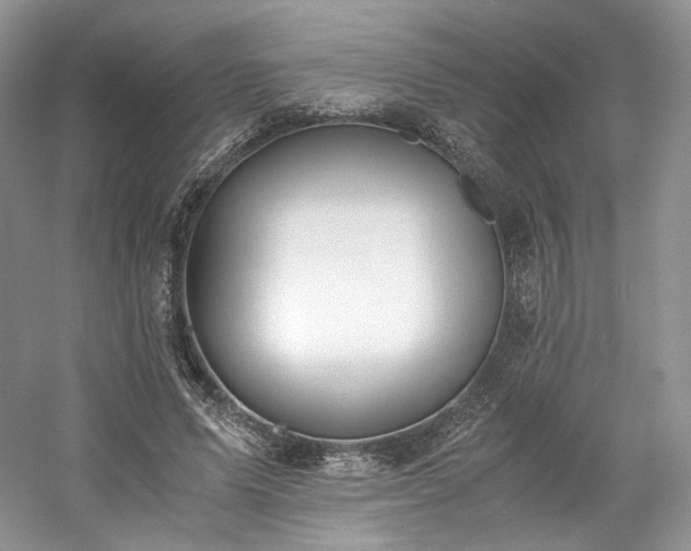 X0000061720591200512021341