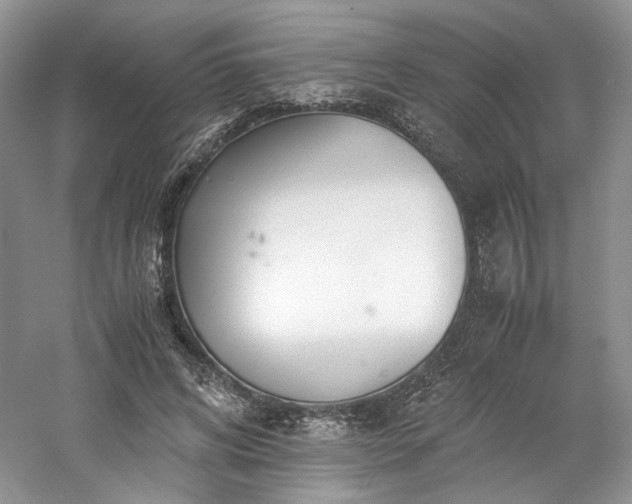 X0000061720592200512021341