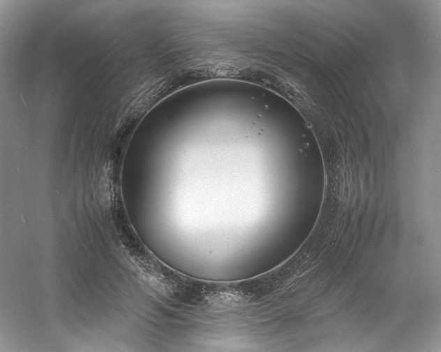 X0000061720594200512021341