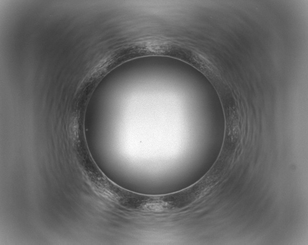 X0000061720595200512021341