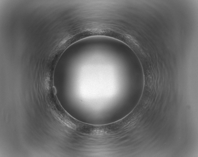 X0000061720596200512021341