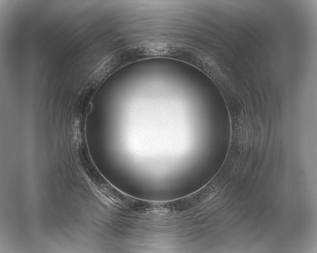 X0000061720598200512021341