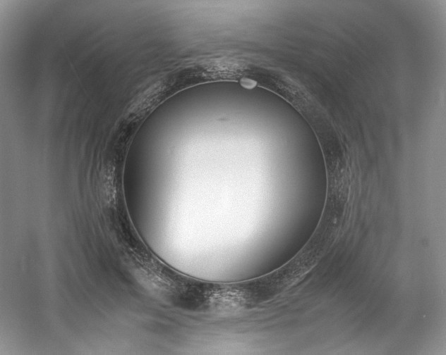 X0000061720599200512021341