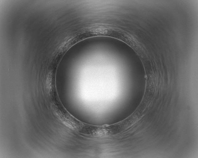 X0000061720600200512021341