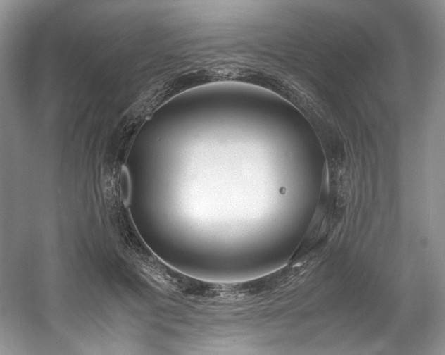 X0000061720601200512021341