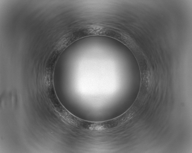 X0000061720602200512021341