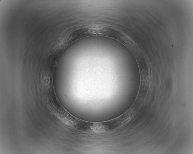 X0000061720603200512021341