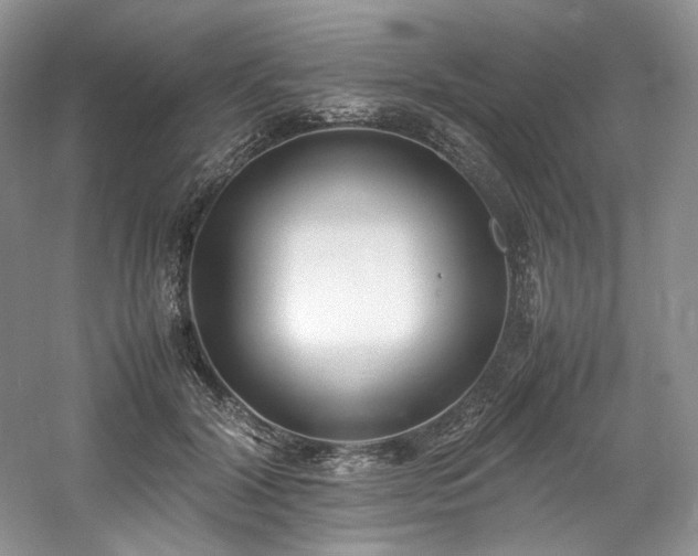 X0000061720604200512021341