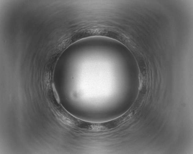 X0000061720605200512021341