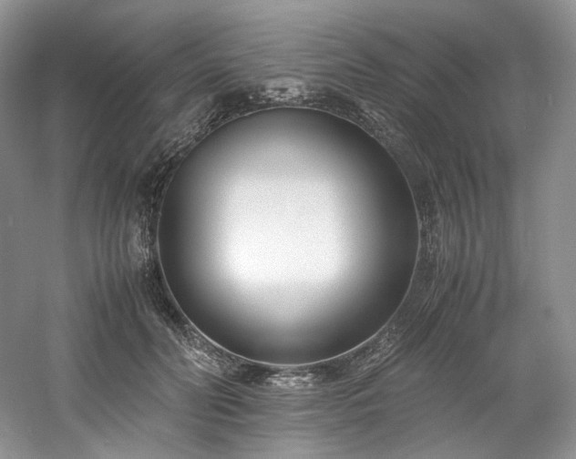 X0000061720606200512021341