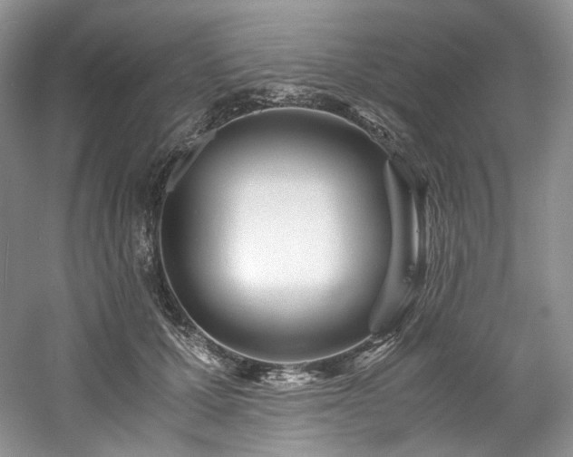 X0000061720607200512021341