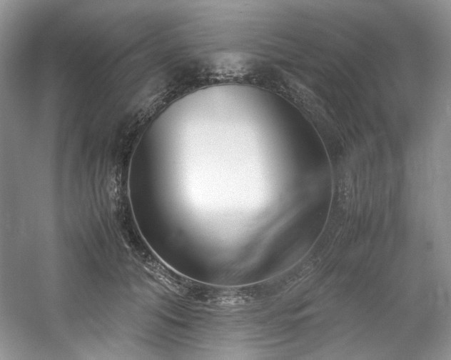 X0000061720608200512021341