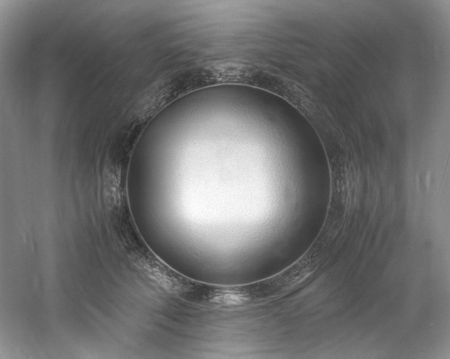 X0000061720610200512021341