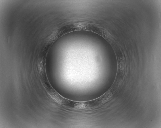 X0000061720611200512021341