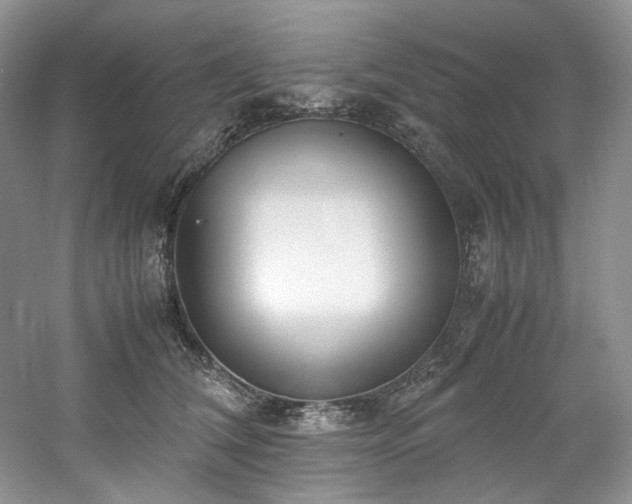 X0000061720612200512021341