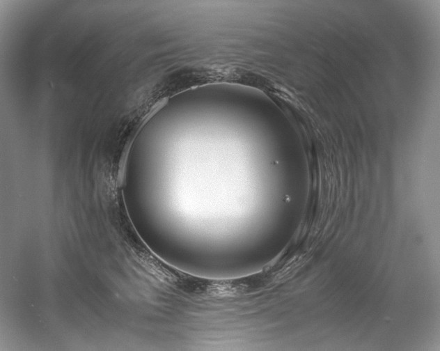 X0000061720613200512021341
