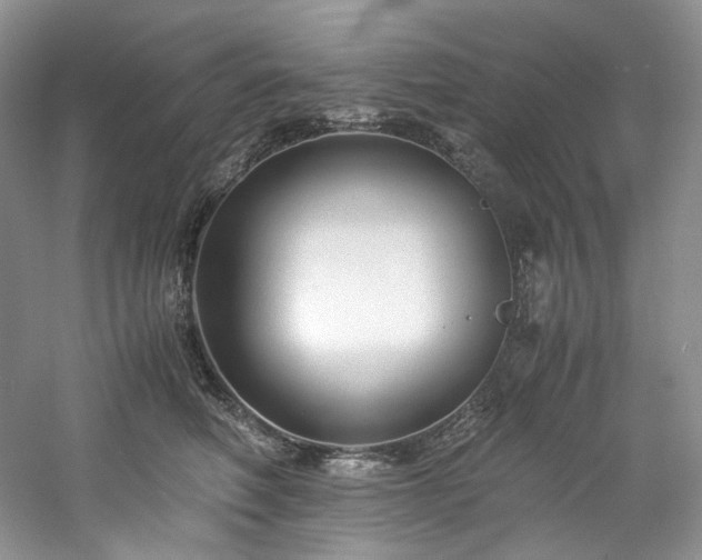 X0000061720614200512021341