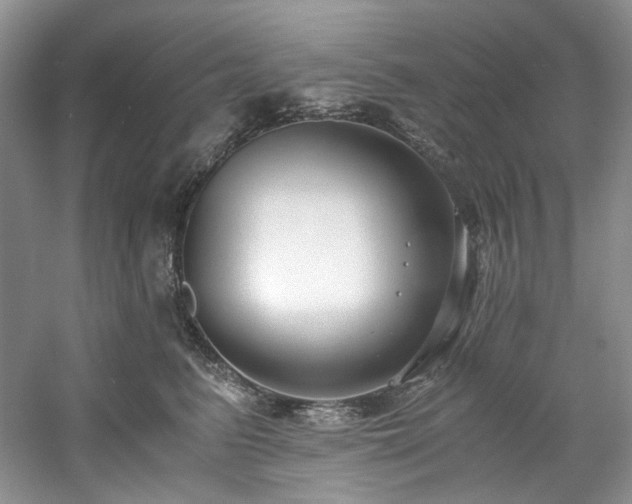 X0000061720615200512021341