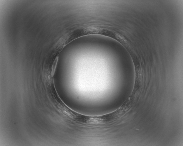 X0000061720617200512021341